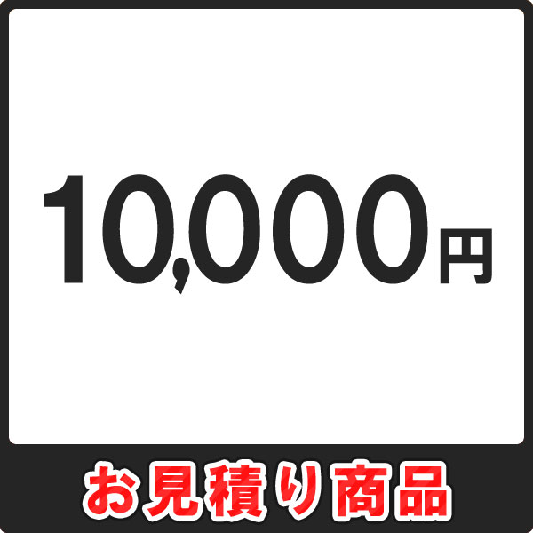 お見積・追加決済用 10,000円分